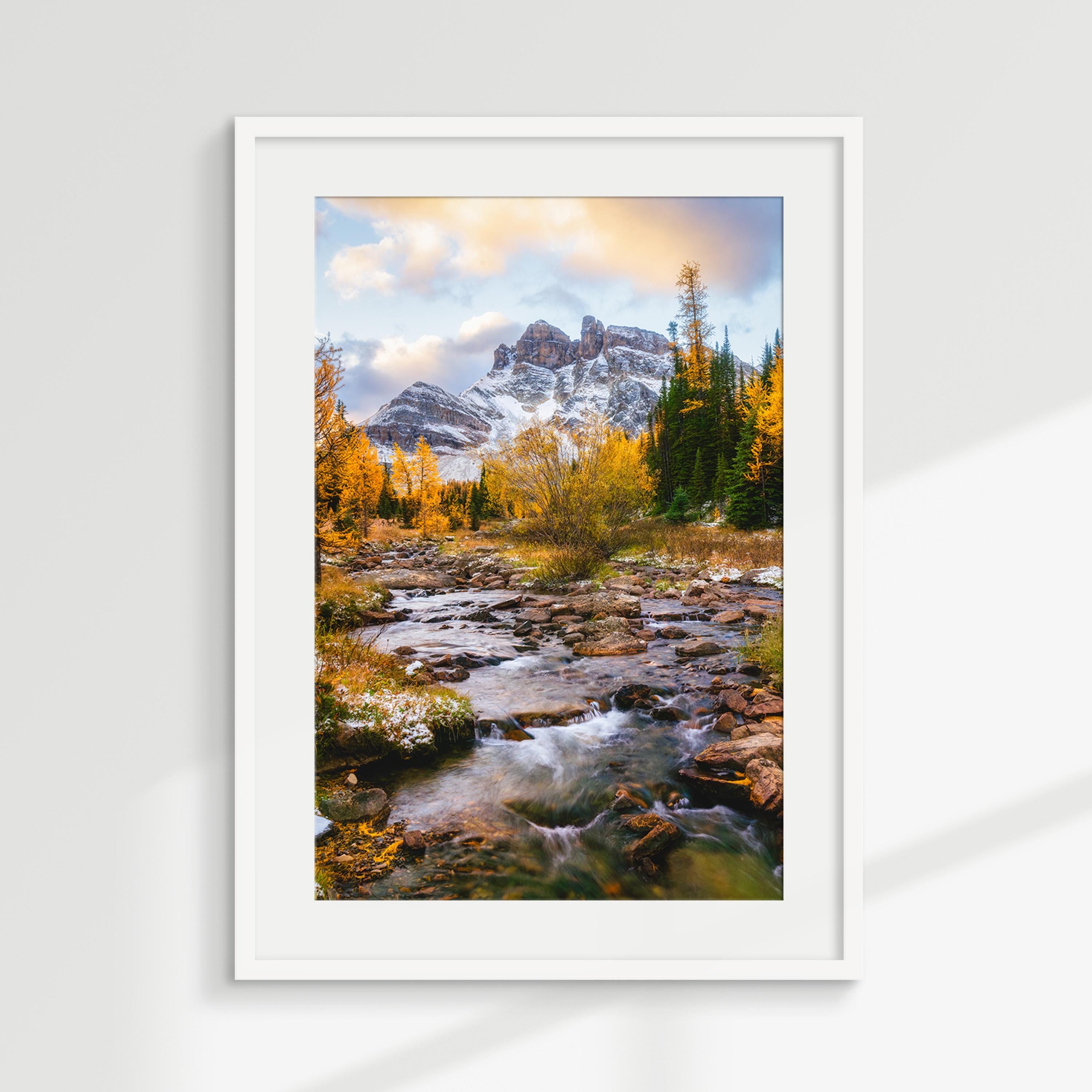 Golden Larch River in the Rockies