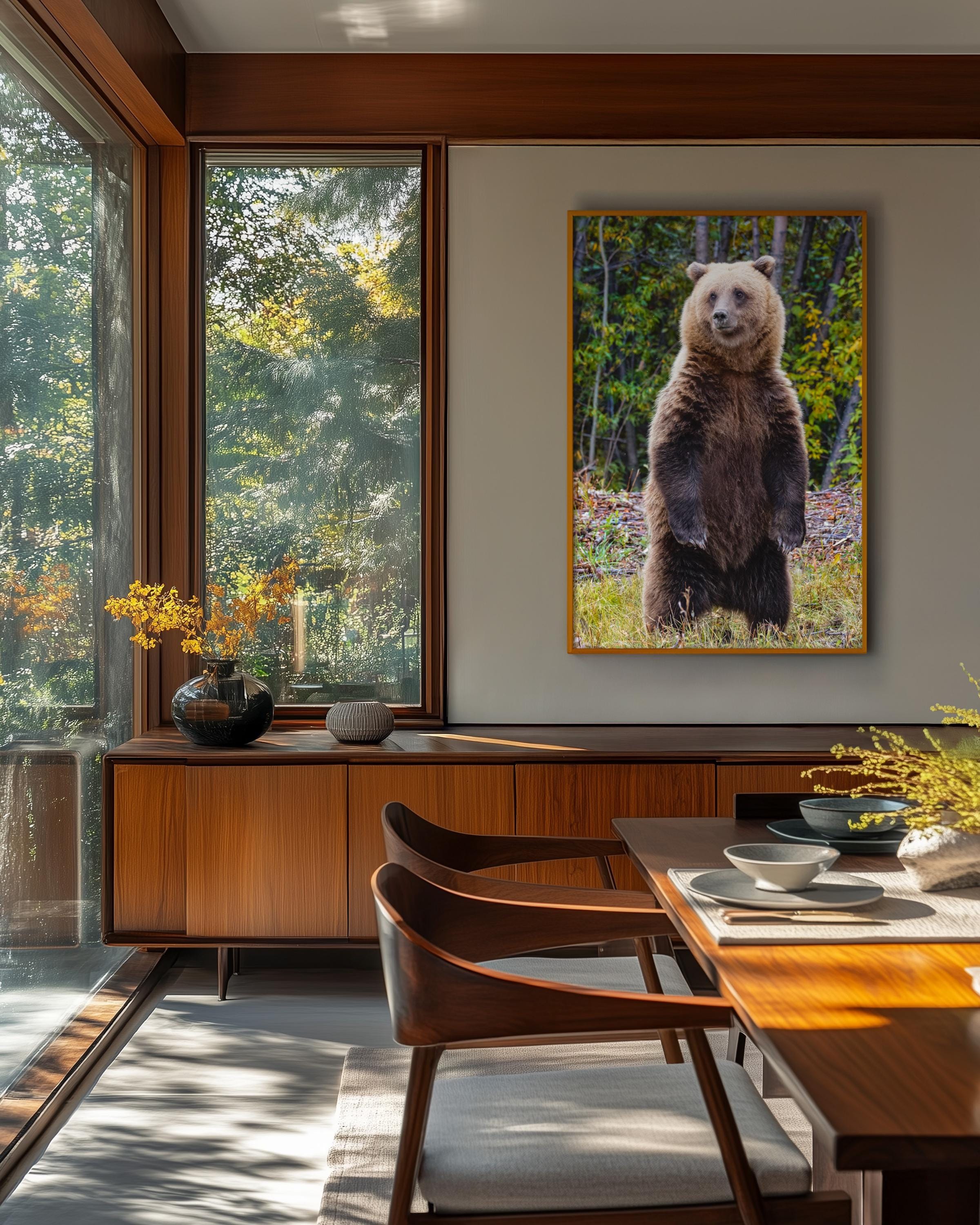 Majestic Grizzly Bear Standing