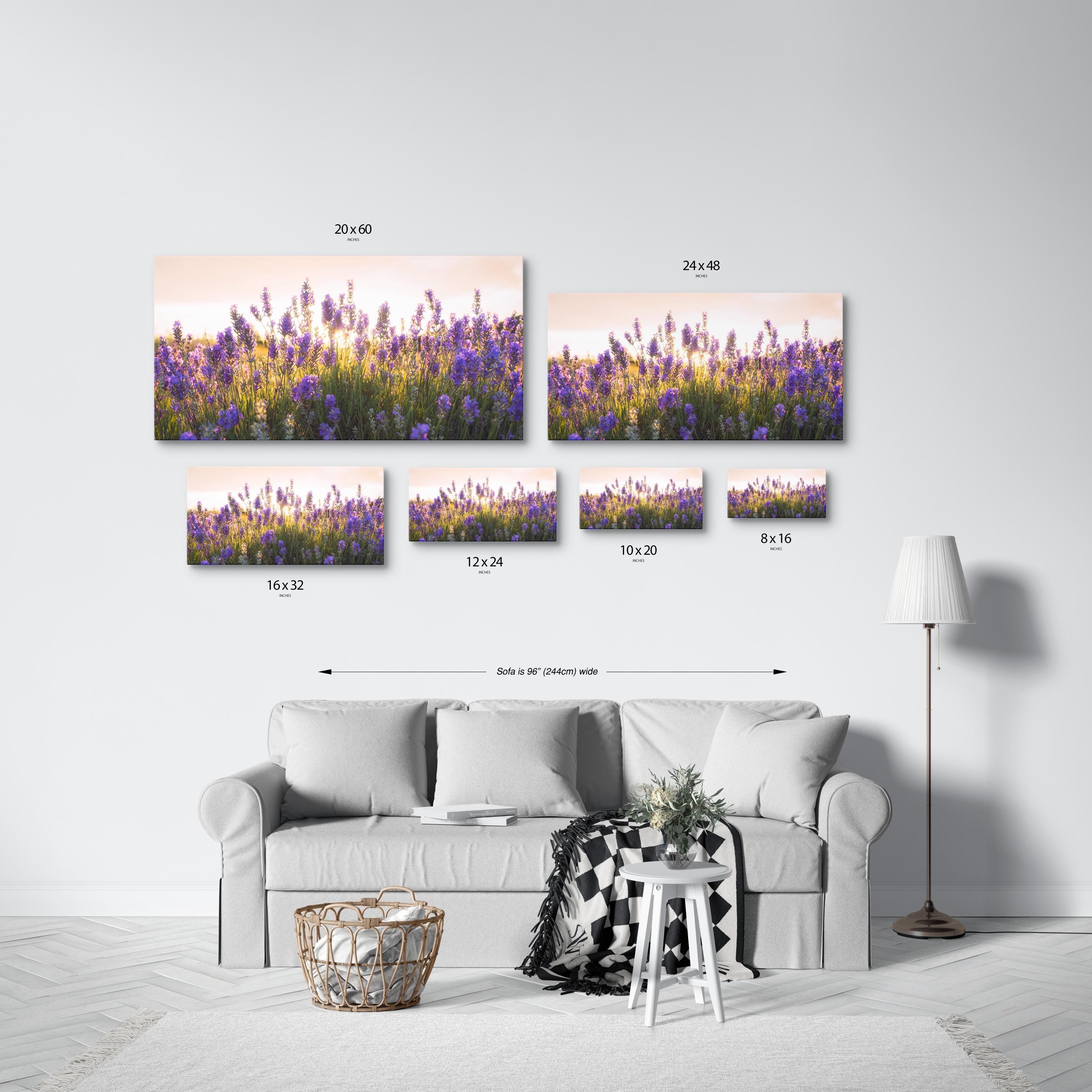 Serene Lavender Field Sunrise
