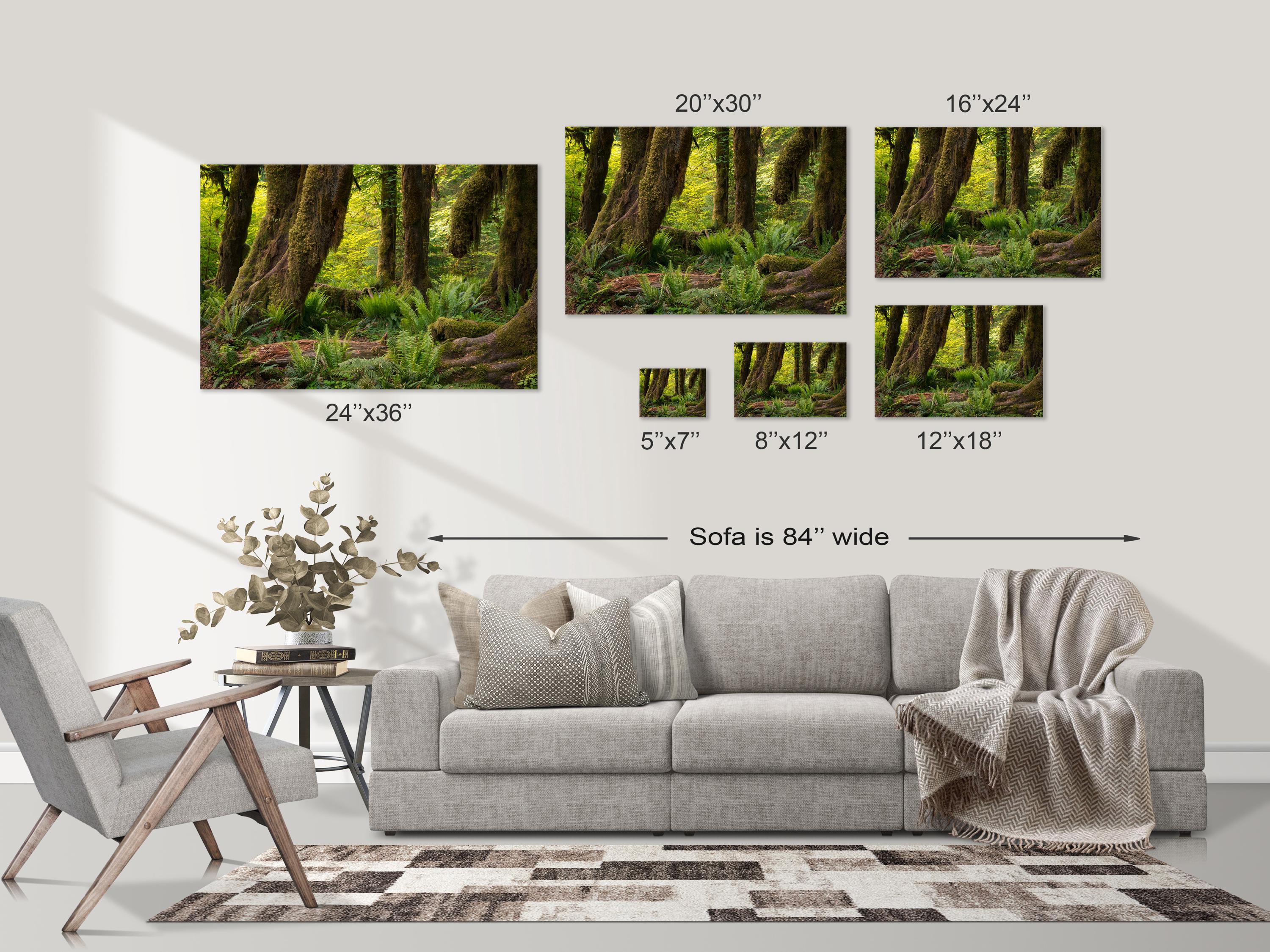 Hall of Mosses Enchanted Forest