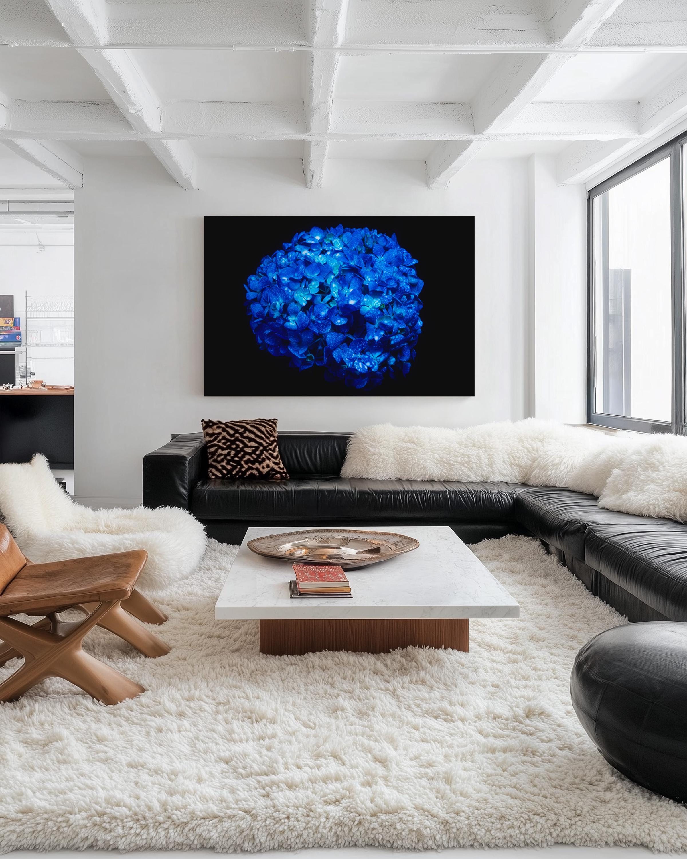 Electric Blue Hydrangea