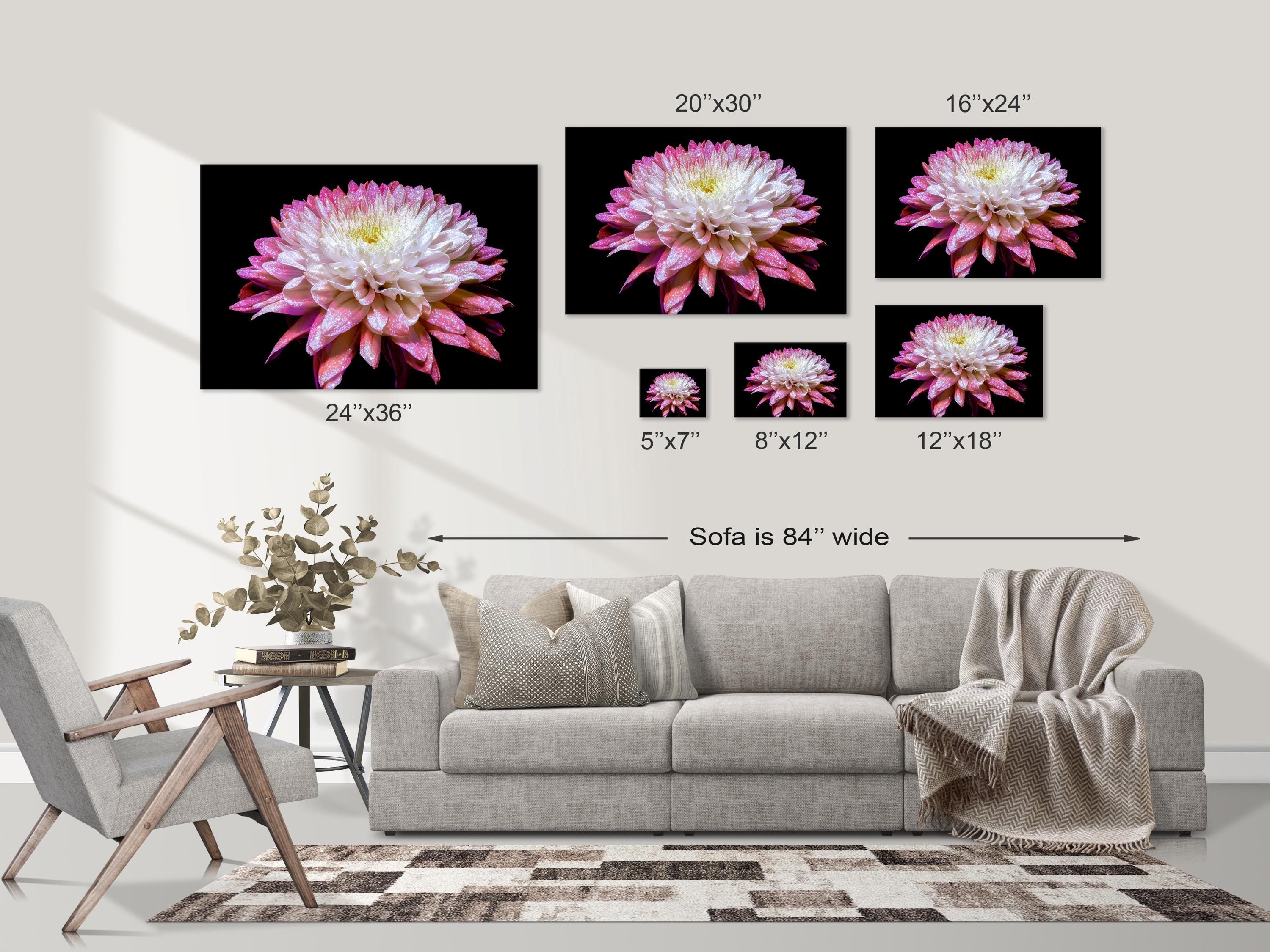 Glowing Pink Dahlia
