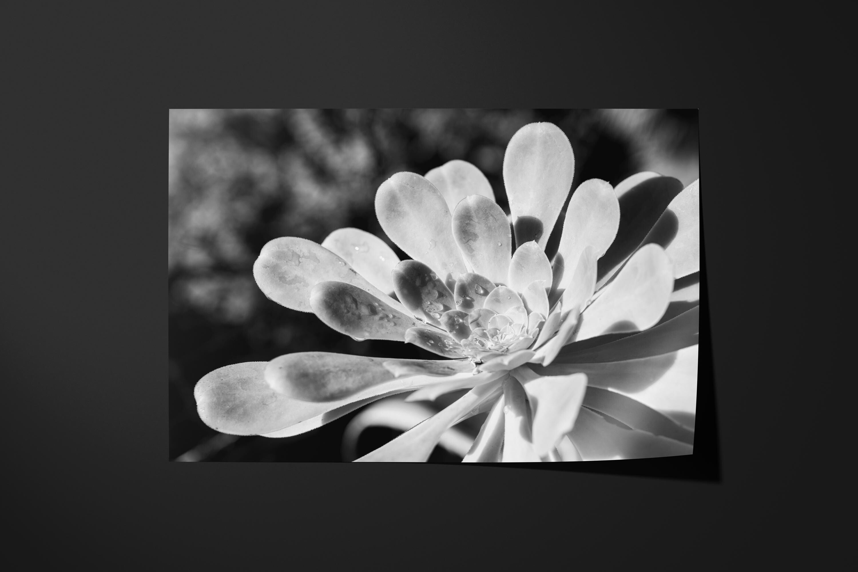 Botanical Flower
