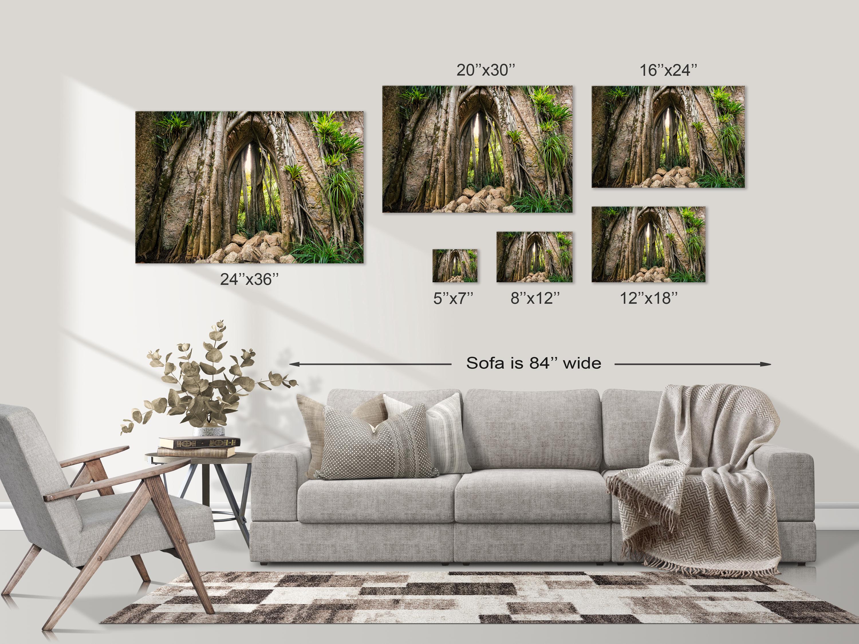 Mystical Forest Archway