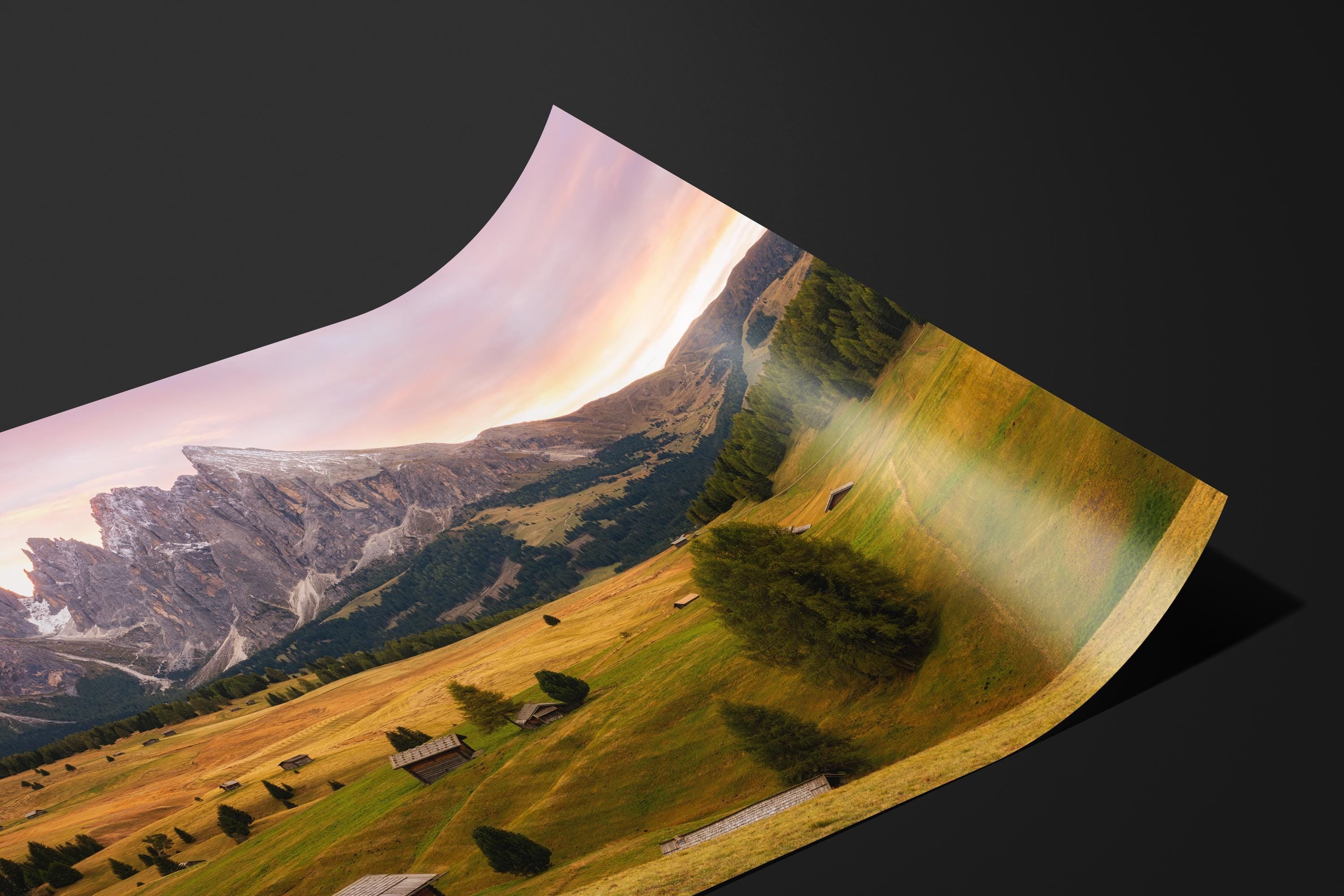 Dolomites Alpine Meadow