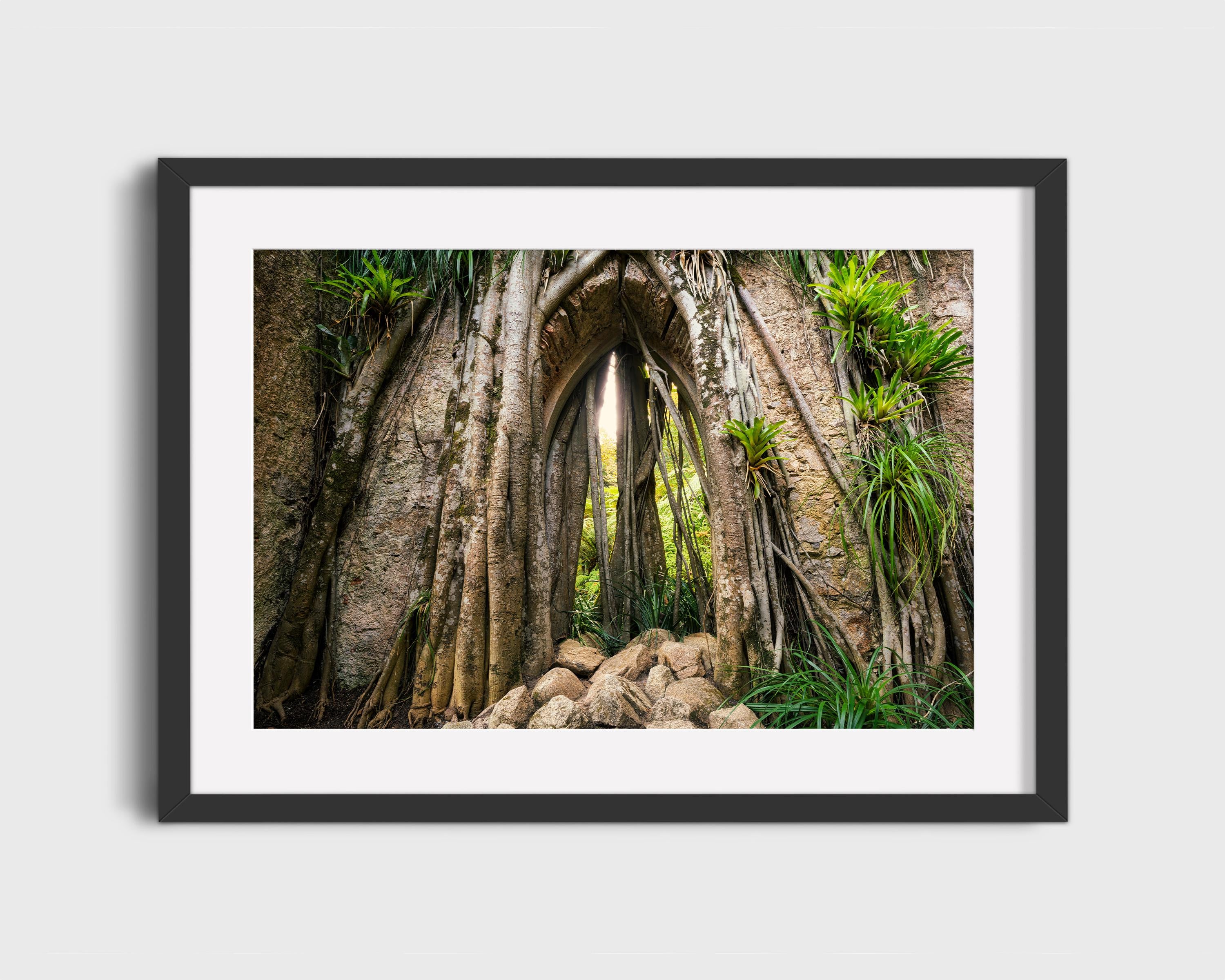 Mystical Forest Archway